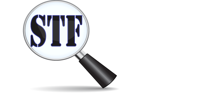 STF INVESTIGATIONS